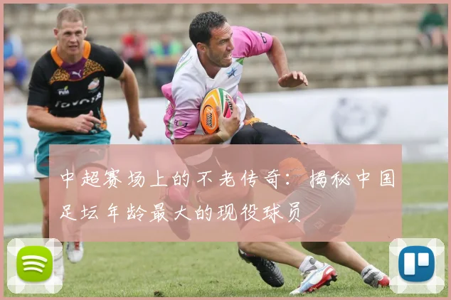 中超赛场上的不老传奇:揭秘中国足坛年龄最大的现役球员