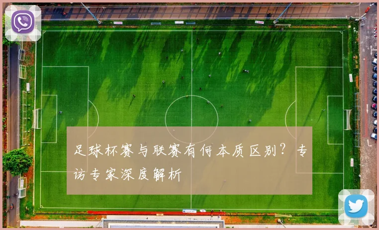 足球杯赛与联赛有何本质区别?专访专家深度解析