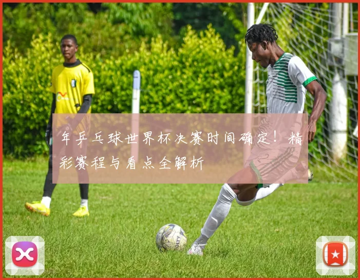 年乒乓球世界杯决赛时间确定!精彩赛程与看点全解析