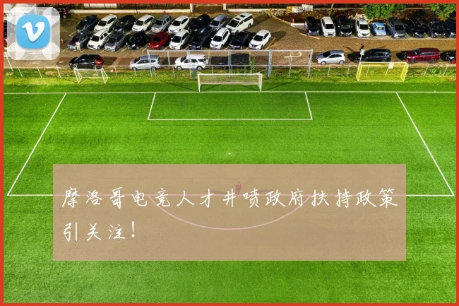 摩洛哥电竞人才井喷政府扶持政策引关注!