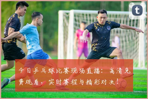 今日乒乓球比赛现场直播:高清免费观看,实时赛程与精彩对决!